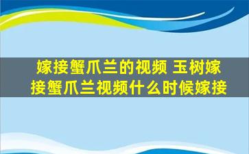 嫁接蟹爪兰的视频 玉树嫁接蟹爪兰视频什么时候嫁接